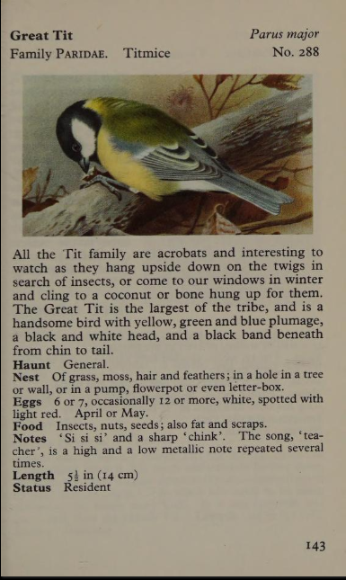great tit page from Observer's Book of Birds